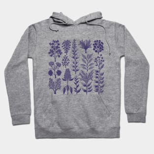 Botanical Silhouette Collection Hoodie